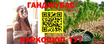 прущие крисы Владимир