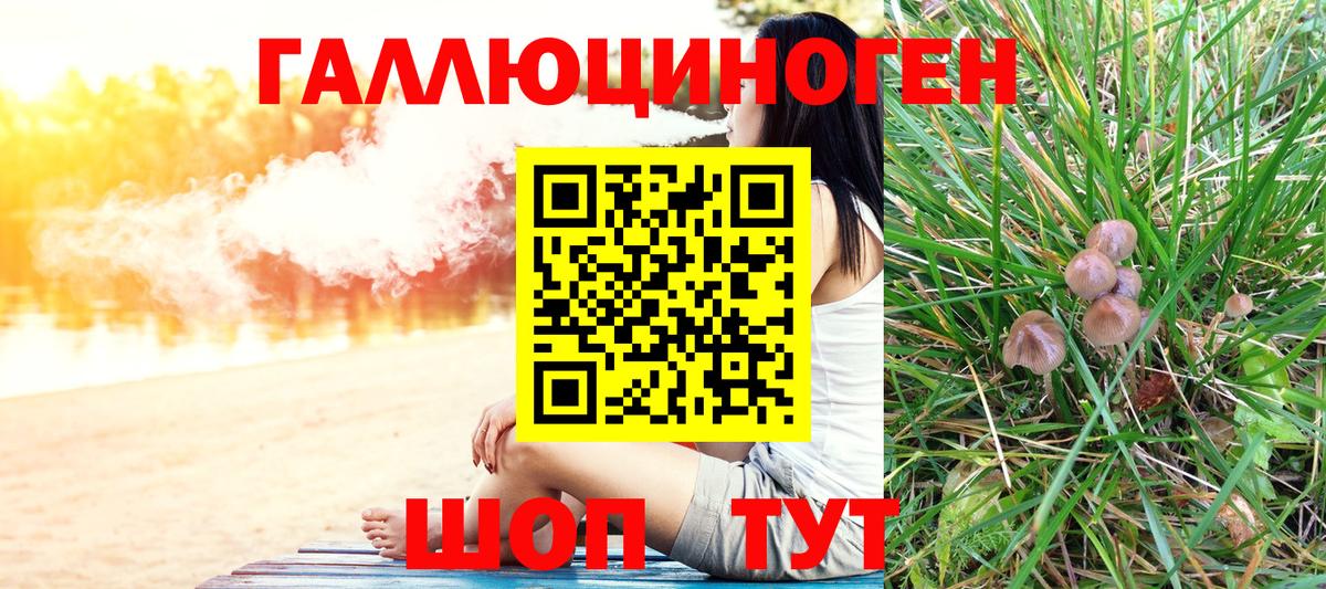 Псилоцибиновые грибы Cubensis Кинель